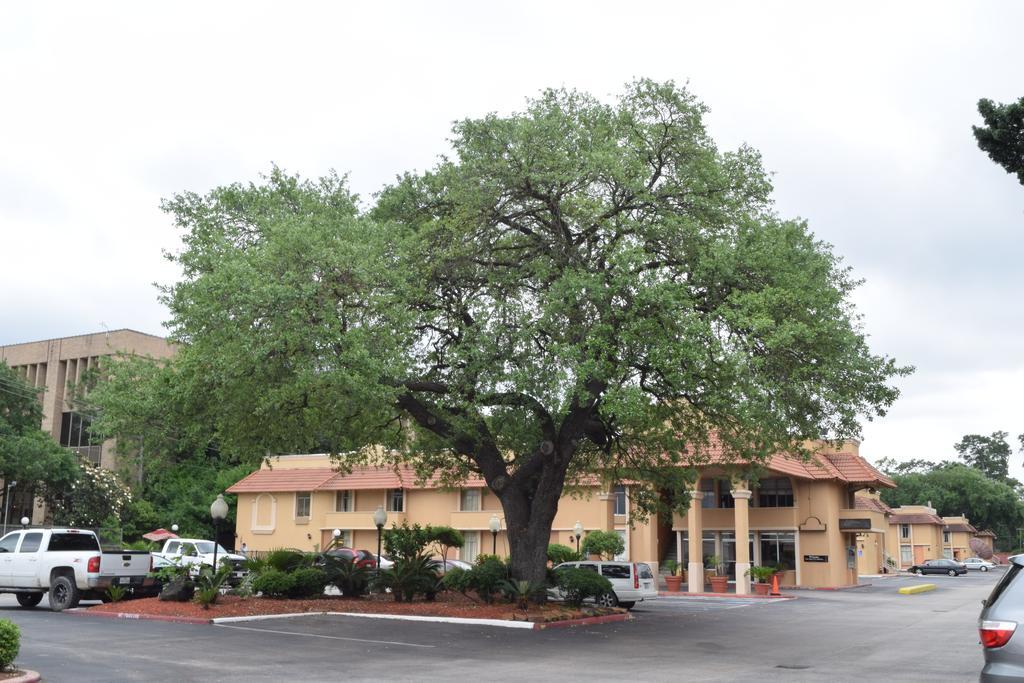 Memorial Inn And Suites Houston Exterior foto